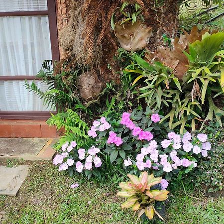Sitio Mae Terra Ξενοδοχείο Afonso  Εξωτερικό φωτογραφία